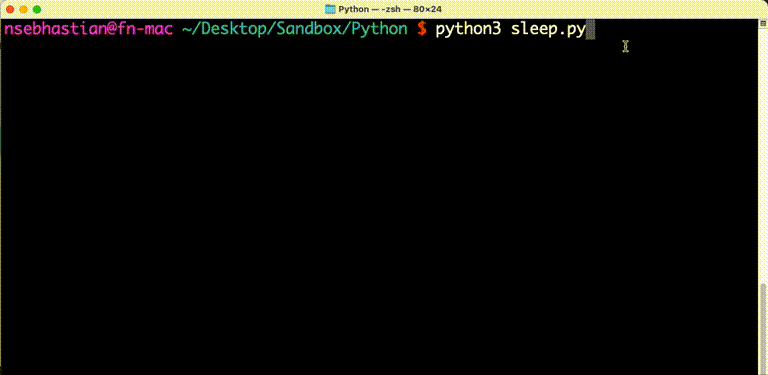 How to delay execution in Python