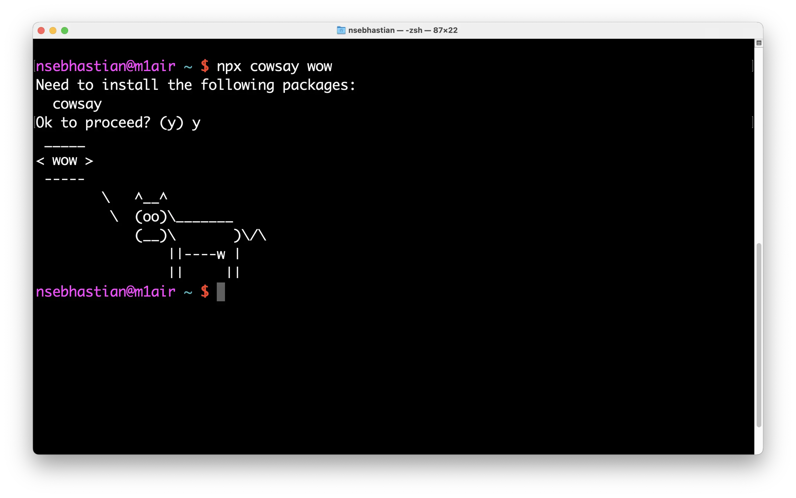 npx asks to install cowsay the first time