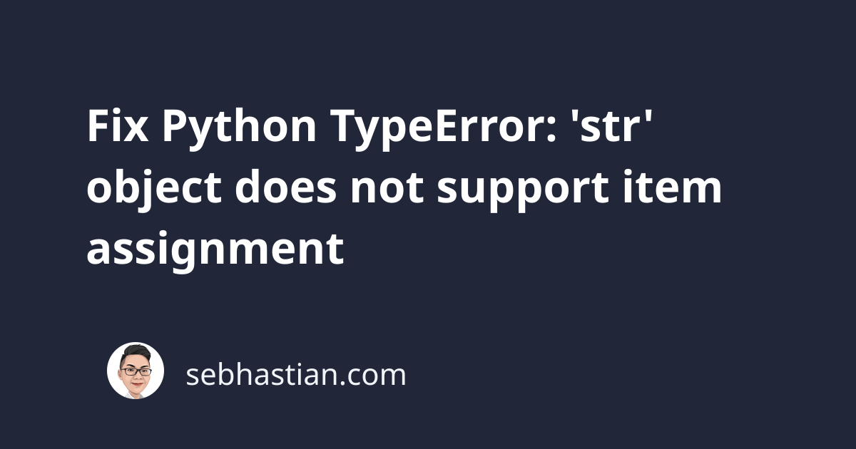 string object does not support item assignment python